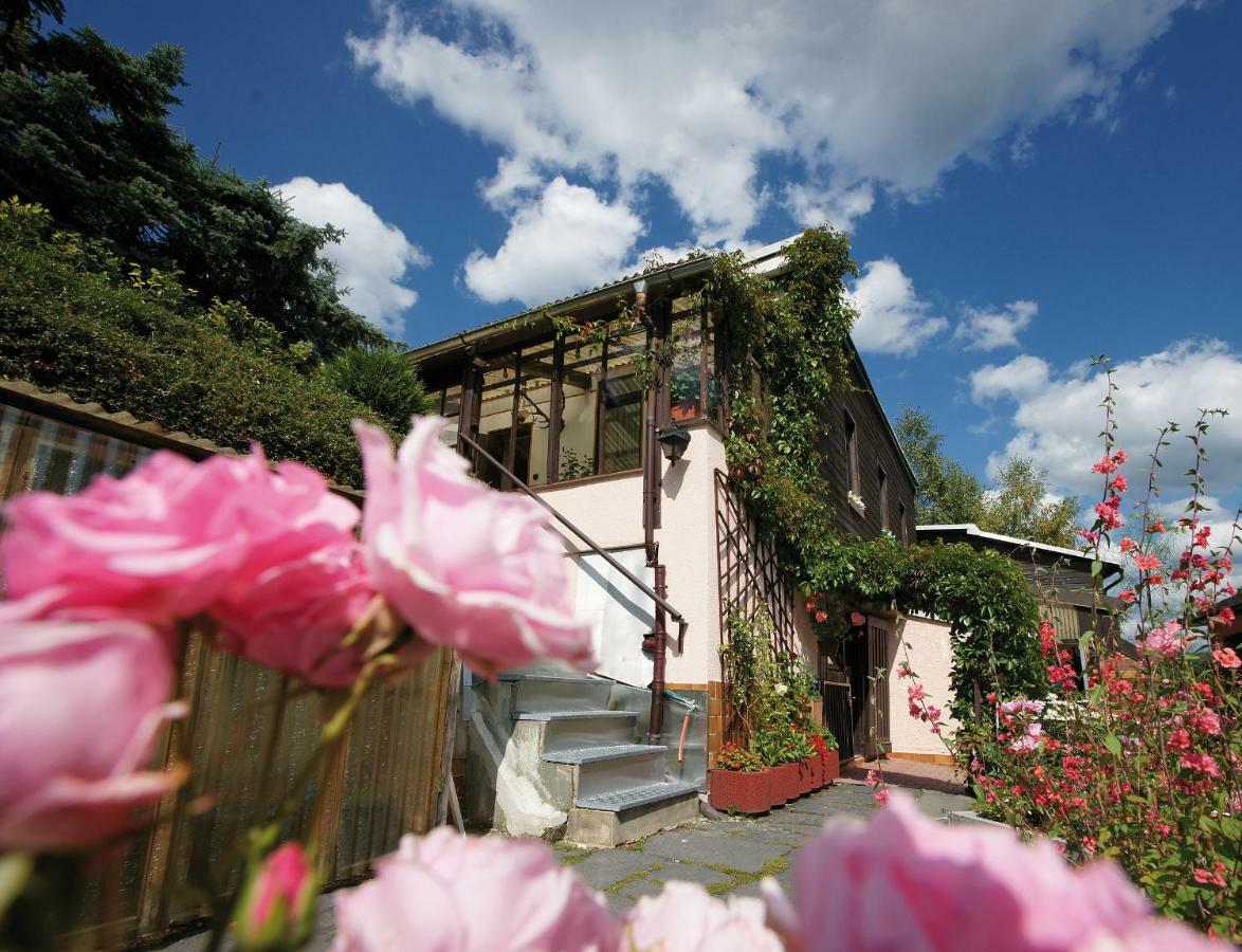 Ferienhaus Korner Villa Klingenthal Dış mekan fotoğraf